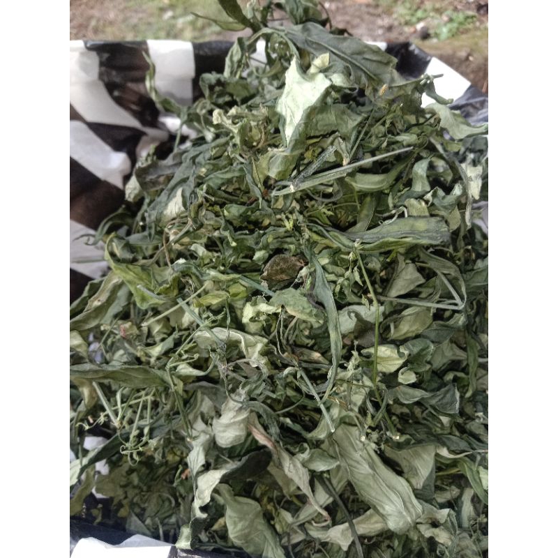 

DAUN SAMBIROTO KERING/DAUNYA AJA/SUPER 100g