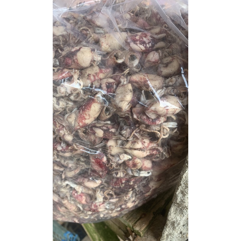 

cumi telur asin 500 gram