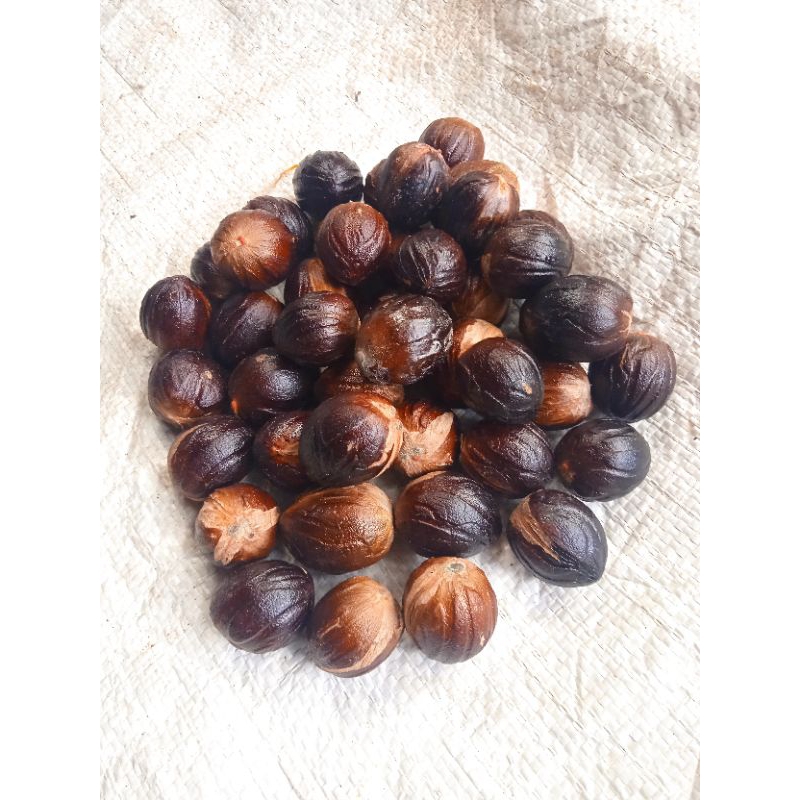 

Biji pala kering utuh 1kg kualitas super harga murah