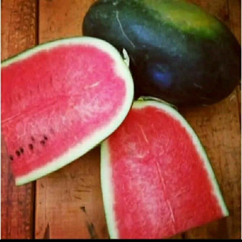 

biji benih semangka inul mardy