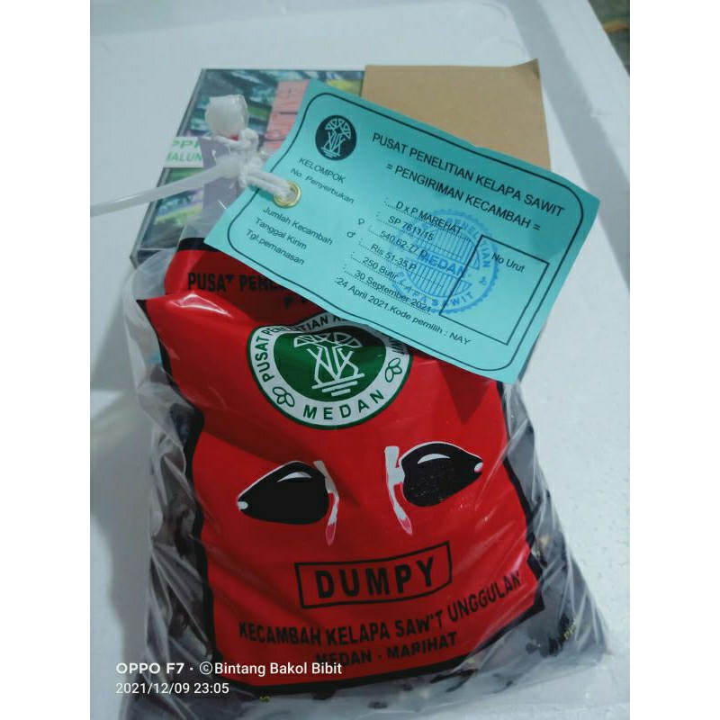 sawet ppks Dxp dumpy