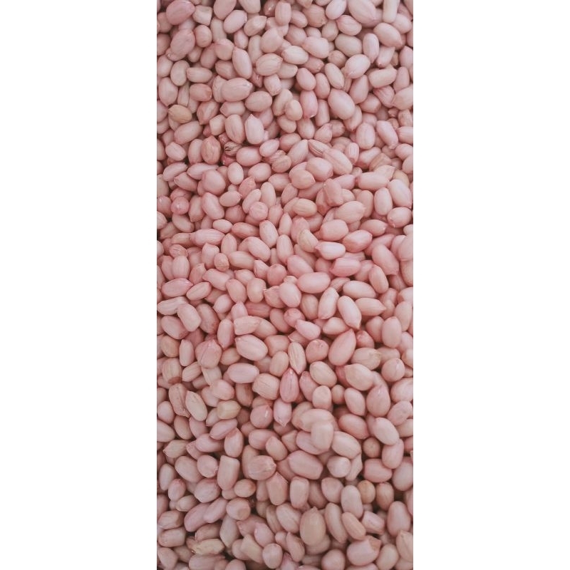 

Kacang tanah mentah kulit 1 liter