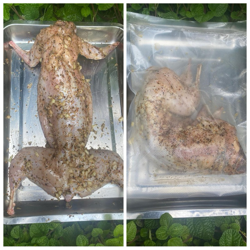 Daging Karkas Kelinci Frozen utuh 1 ekor (marinasi)