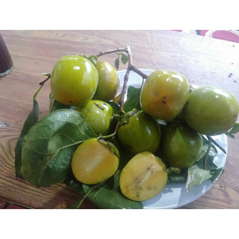 

kasemek Garut si madu 1kg