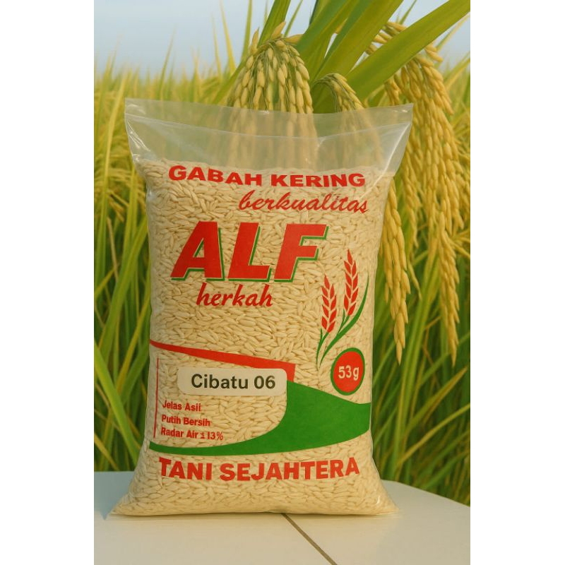 

5kg Benih PADI Cibatu 06 kuwalitas asli langsung di abil DARI PENAKAR NASI PULEN WANGi hasil memuaskan bikin panek jadi berlimpah