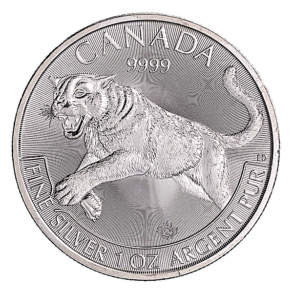 KOIN SILVER 1 OZ ASLI CANADIAN PREDATOR EDISI COUGAR MACAN TAHUN 2016