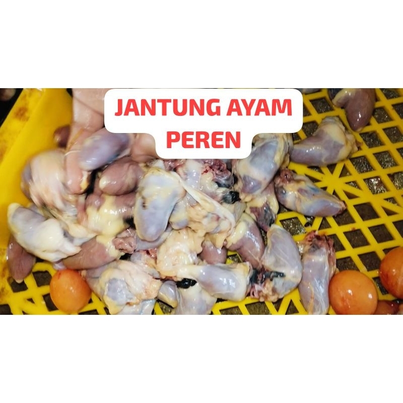 

Jantung Ayam Parent / Jantung Ayam Afkir