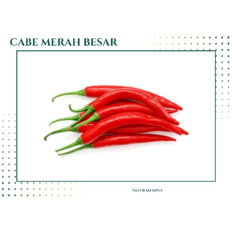 

Cabe merah besar / tw merah [ 100g ]