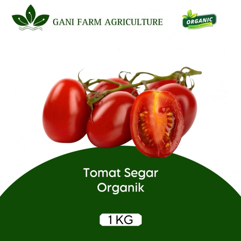 

Tomat Organik Fresh 1 kg