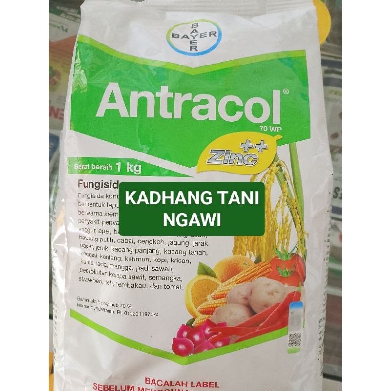 ANTRACOL 1kg (Fungisida).