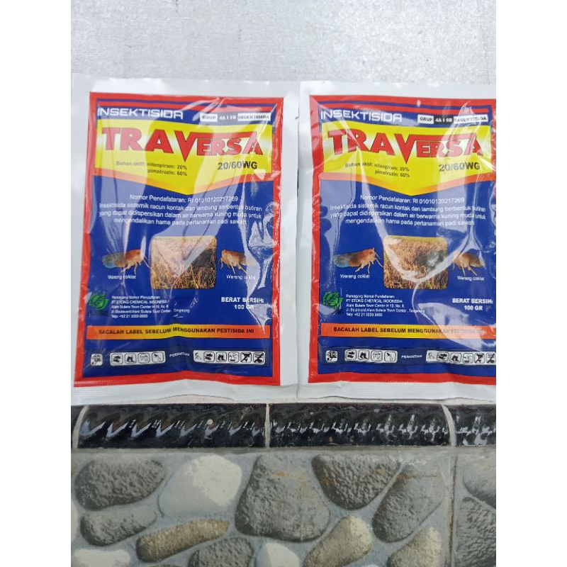 TRAVERSA 100 Gram Pimetrozin/Nitenpiram Basmi Wereng Trip dan Kutu Kebul penyeban tanaman cabe kunin