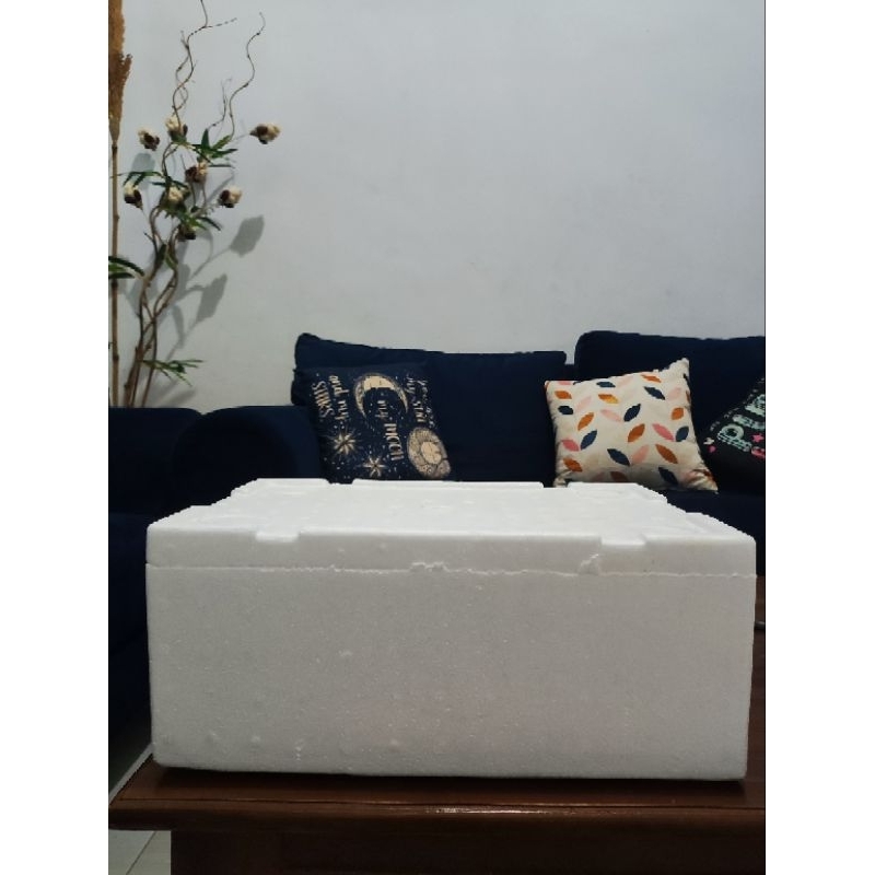 

styrofoam.. untuk menjaga kwalitas pempek selama di perjalanan