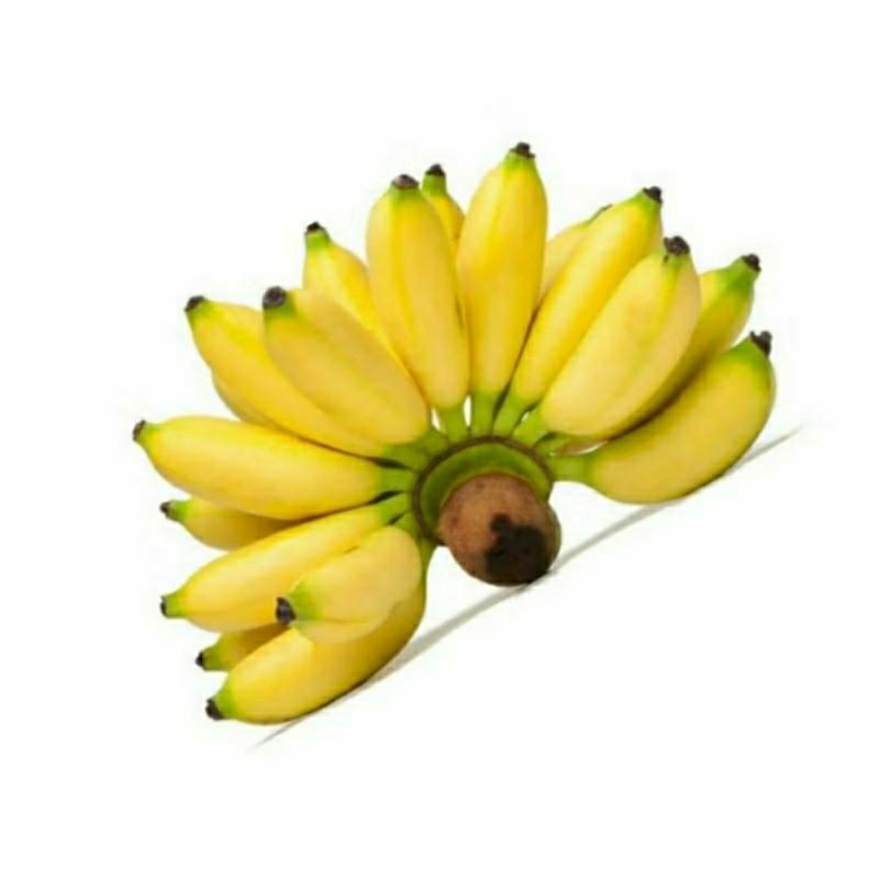 

pisang muli satu sisir