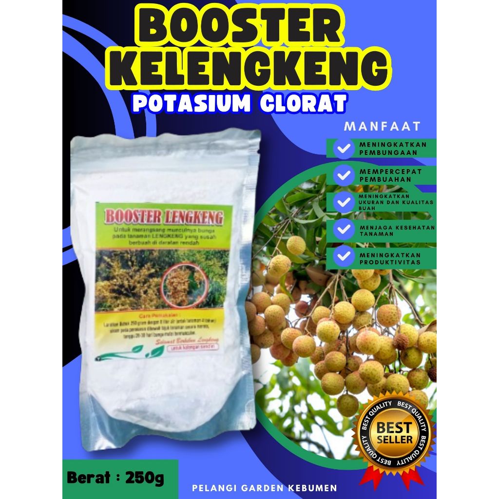 UNGGULAN  Pupuk Buah Kelengkeng Kering, Pupuk Buah Kelengkeng Lokal, Pupuk Buah Kelengkeng Longan