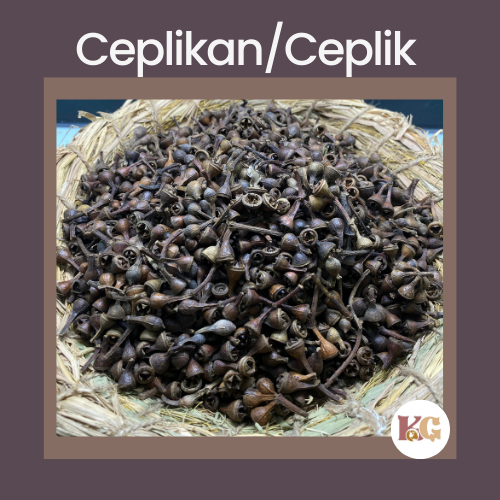 

Ceplikan/Ceplik Sari Kering Herbal Tradisional
