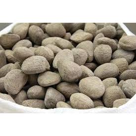 

KLUWEK BUAH BUMBU MASAK RAWON GROSIR 1KG TERMURAH BISA KIRIM SELURUH INDONESIA