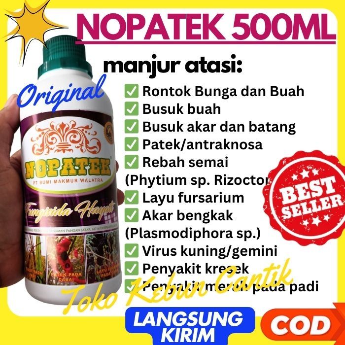 NOPATEK Obat Cabe Daun Kuning Keriting dan Rontok Terbaik 500 ML Pupuk Kalsium Cabe Atasi Cabe Kunin
