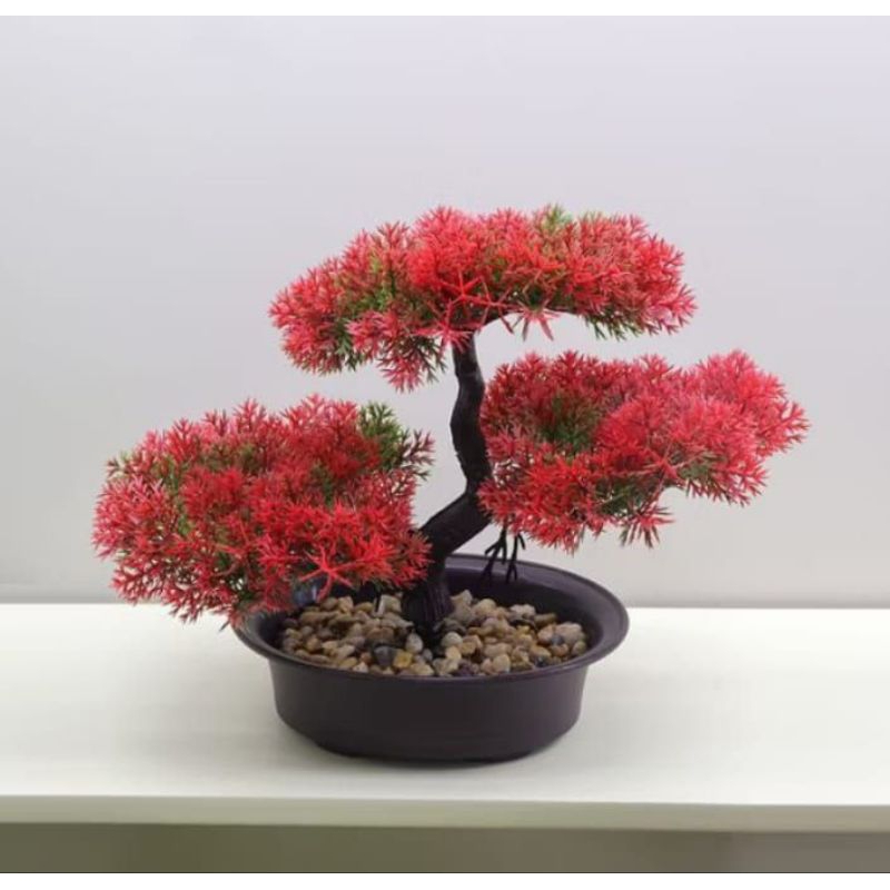 bunga bonsai Asoka atas meja