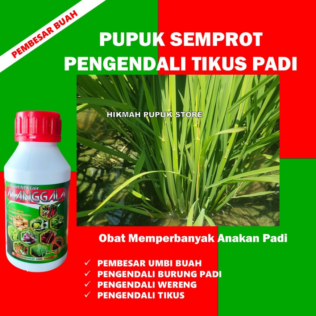 MANGGALA 500ML Pupuk Cair Untuk Memperbanyak Anakan Padi Pupuk Anakan Padi Ampuh , Pupuk Meningkatka