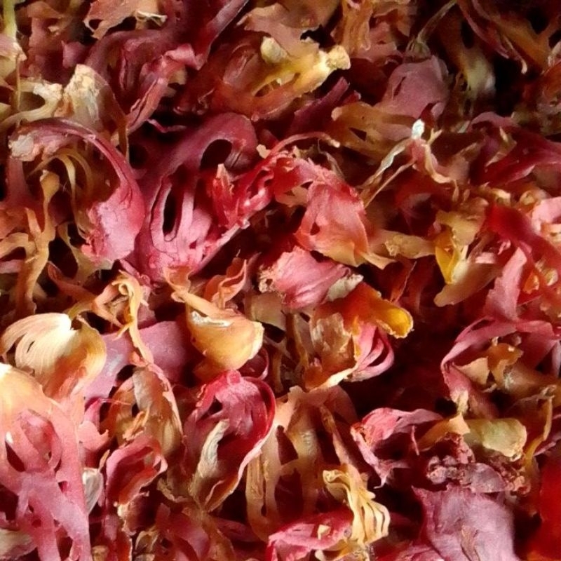 

sempra pala kering 100g