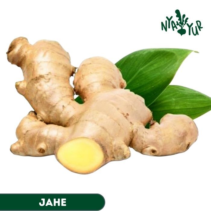 

INSTAN - Jahe gajah Segar 250gr