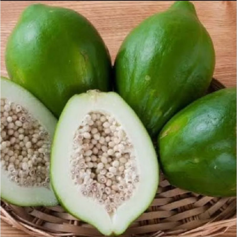 

pepaya muda kurang lebih 1kg
