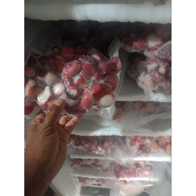 

Tako leg cut /gurita potong isi Takoyaki @ 500gram