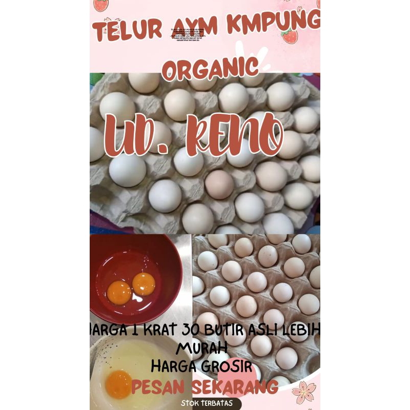 

PROMO TELUR AYAM KAMPUNG ORGANIC 1KRAT/30 BUTIR