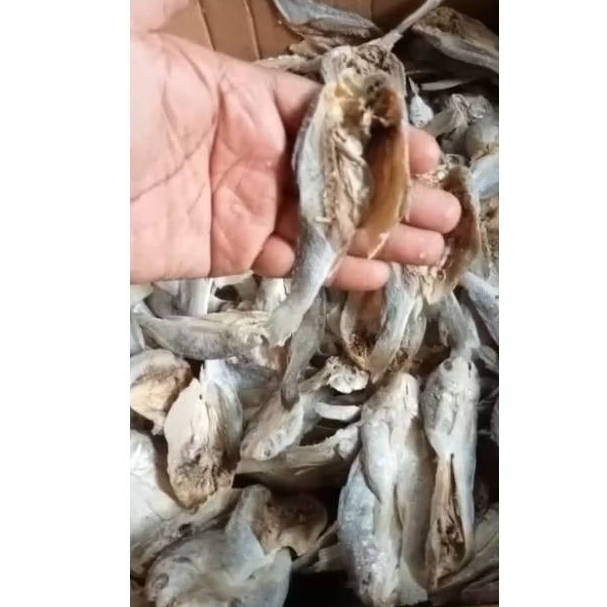 

IKAN ASIN BELEAN GELOMOH SATU KILO