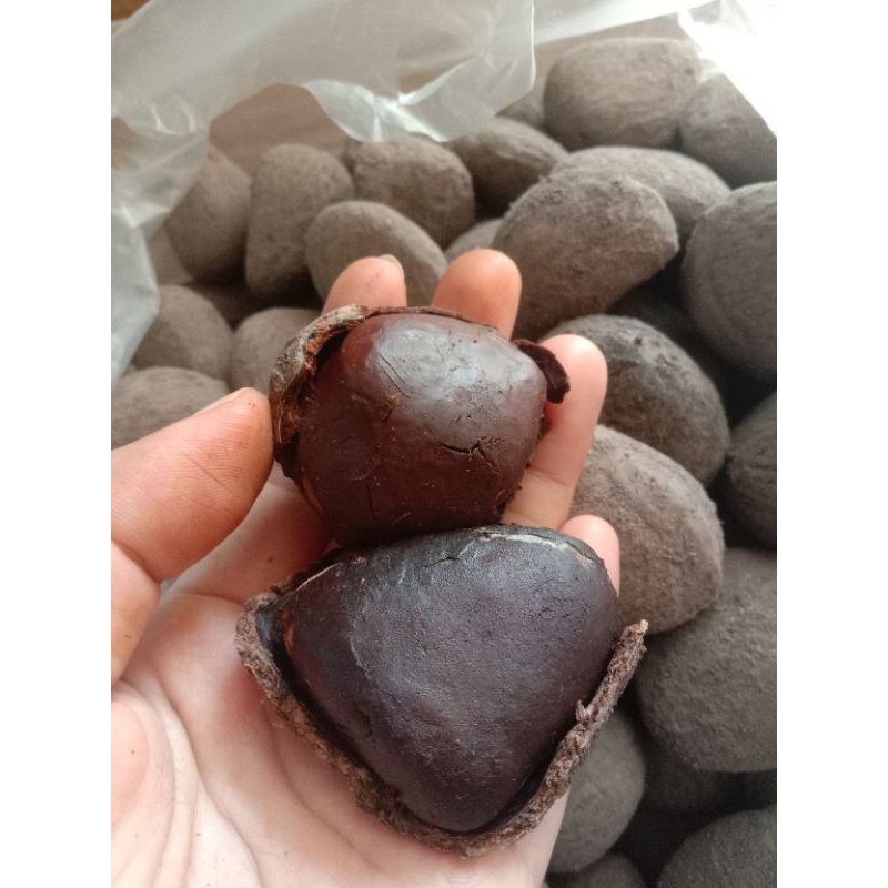 

Kluwak bumbu rawon