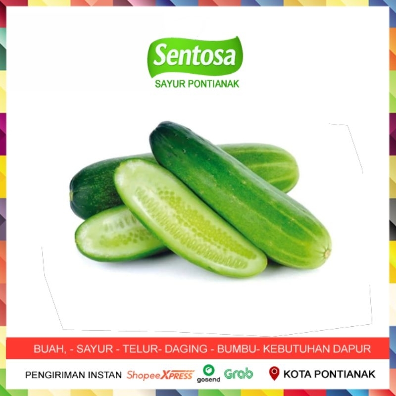 

Timun / Mentimun / Ketimun Fresh Sayur Segar Murah Sentosa Sayur Pontianak