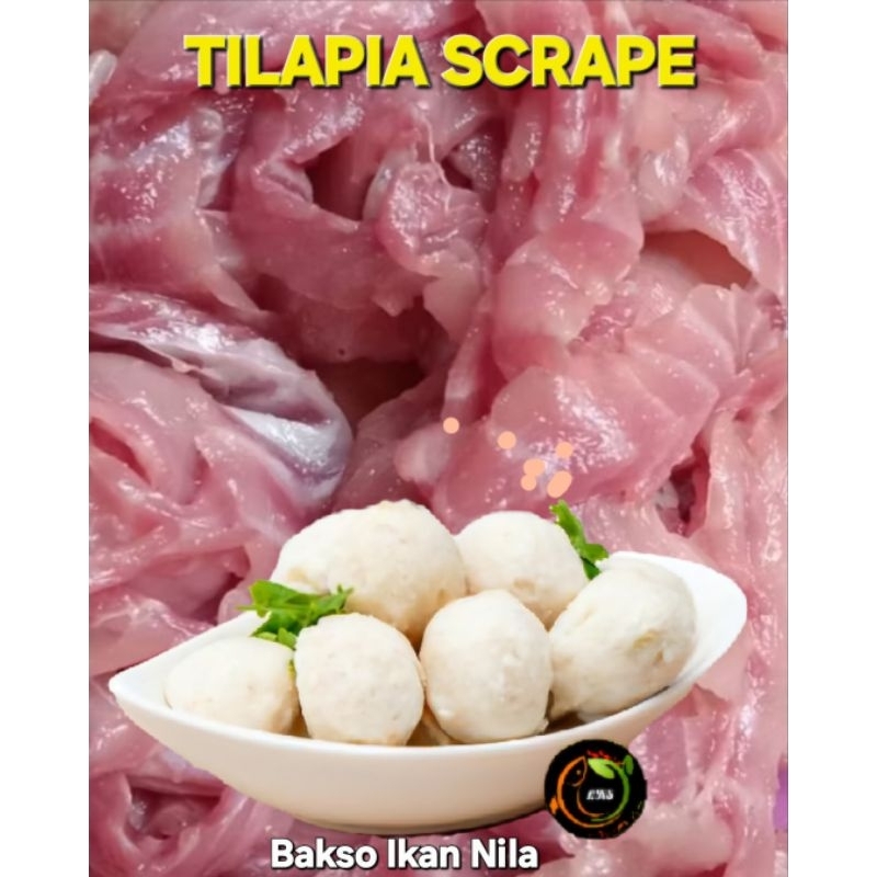 

[ TERLARIS DAGING IKAN NILA ] Daging ikan Nila/ Jaer giling, scrape
