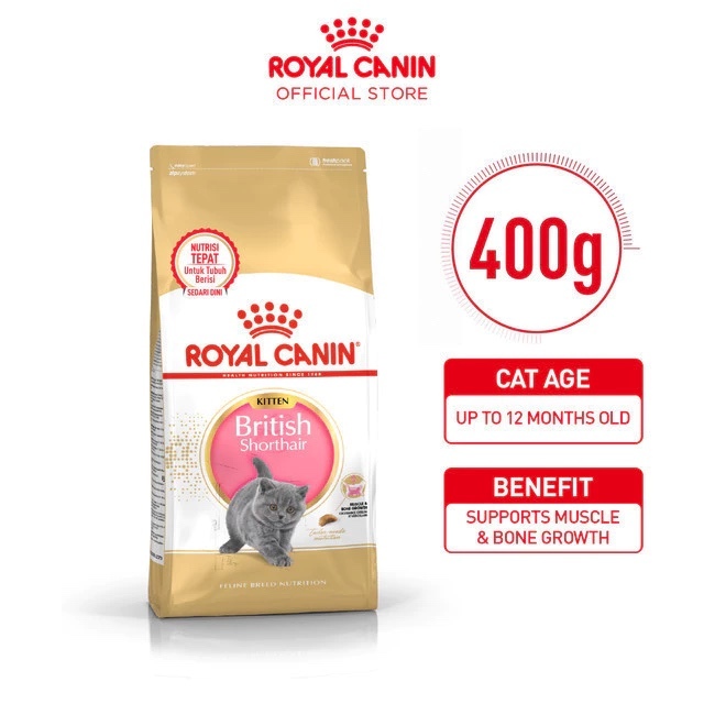 Royal Canin British Shorthair Kitten Dry Makanan Anak Kucing