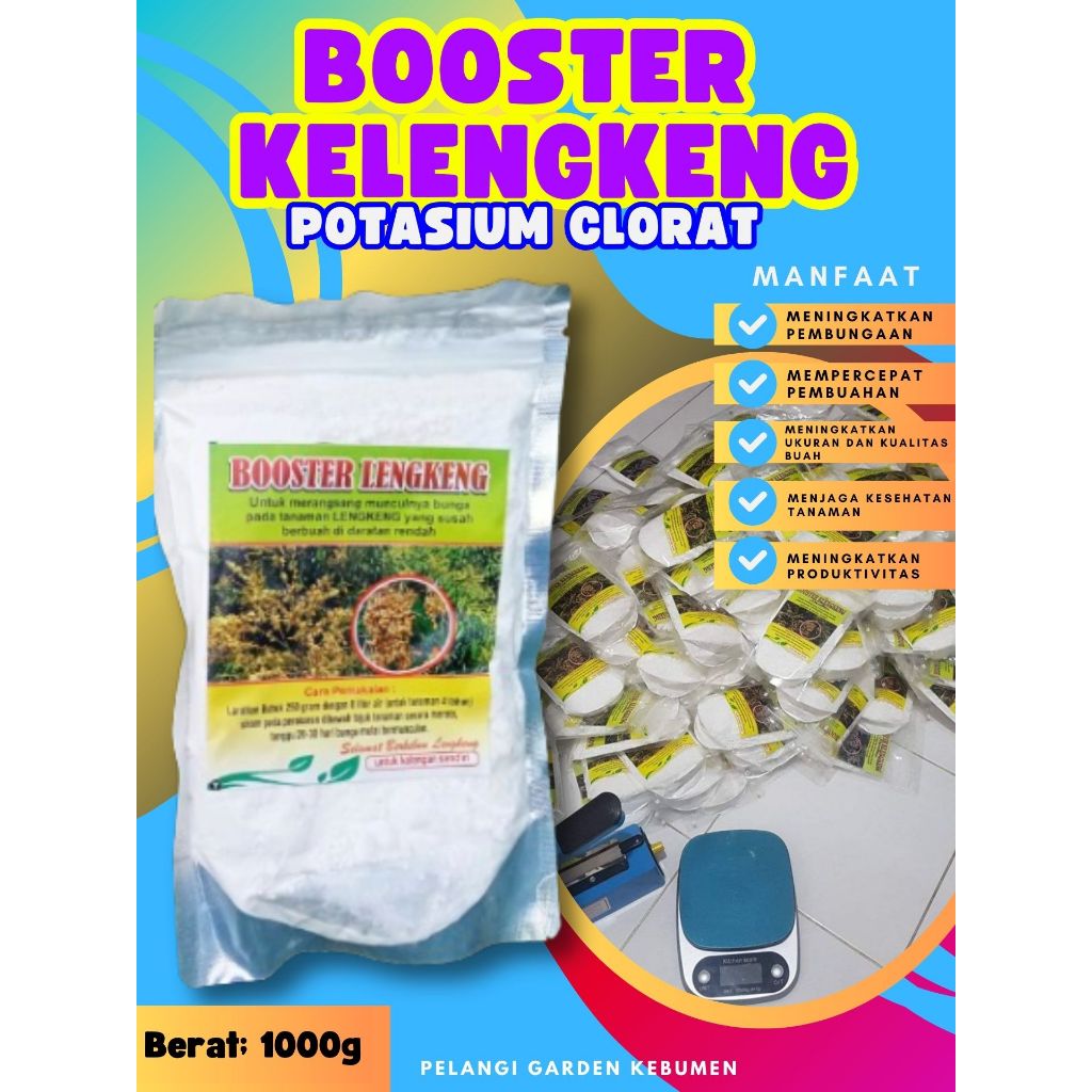 BEST SELLER  Booster Kelengkeng Kclo 3 Murni, Booster Kelengkeng Kclo 3