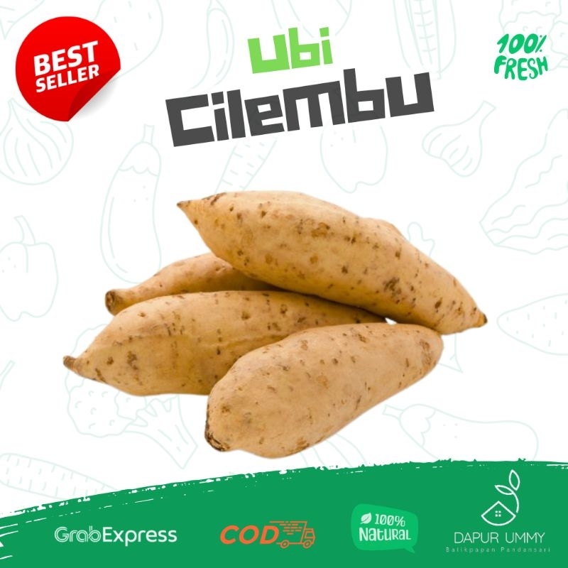 

CILEMBU • Ubi Celembu