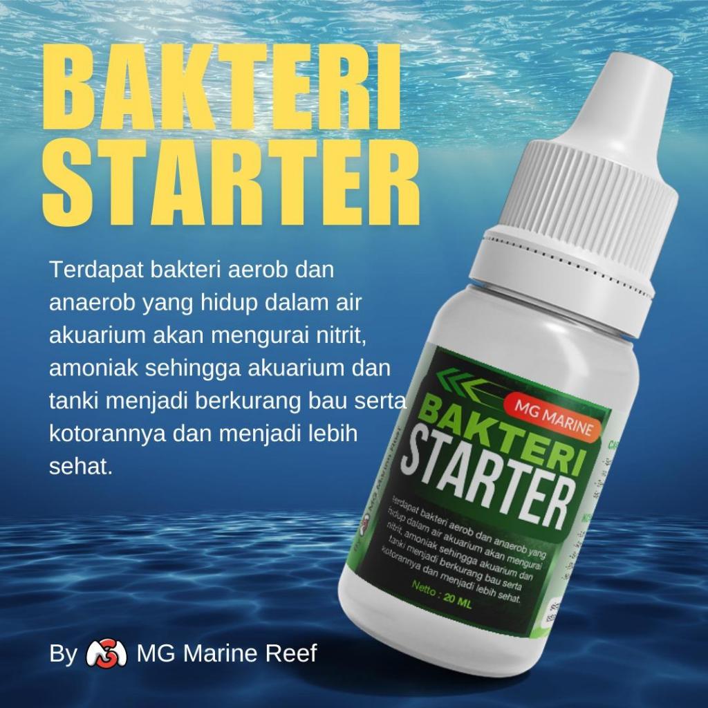 MG Marine Bakteri Starter (obat ikan hias air laut)