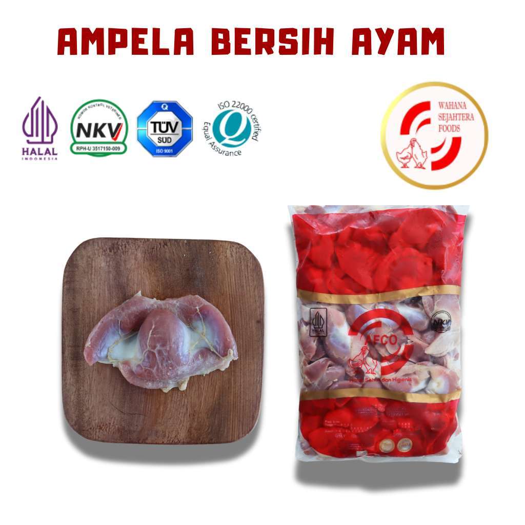 

Ampela Bersih Frozen Kemasan 1 Kg