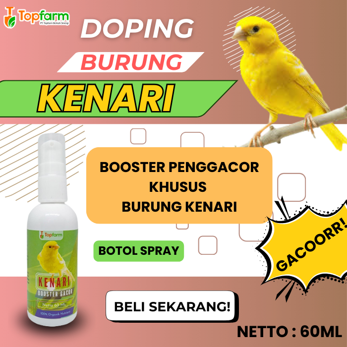 Vitamin Khusus Burung Kenari/ Obat Kenari Serak 60ML/ Booster Burung Kenari/ Obat Kenari Macet Bunyi