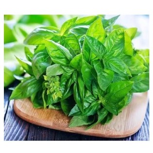 

Daun Kemangi / Basil Leave Per Pack