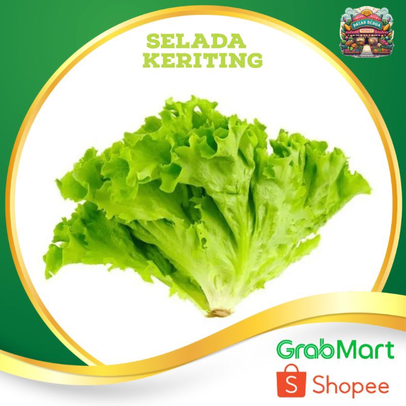 

Selada Keriting ~ Murah Pasar Induk Daring