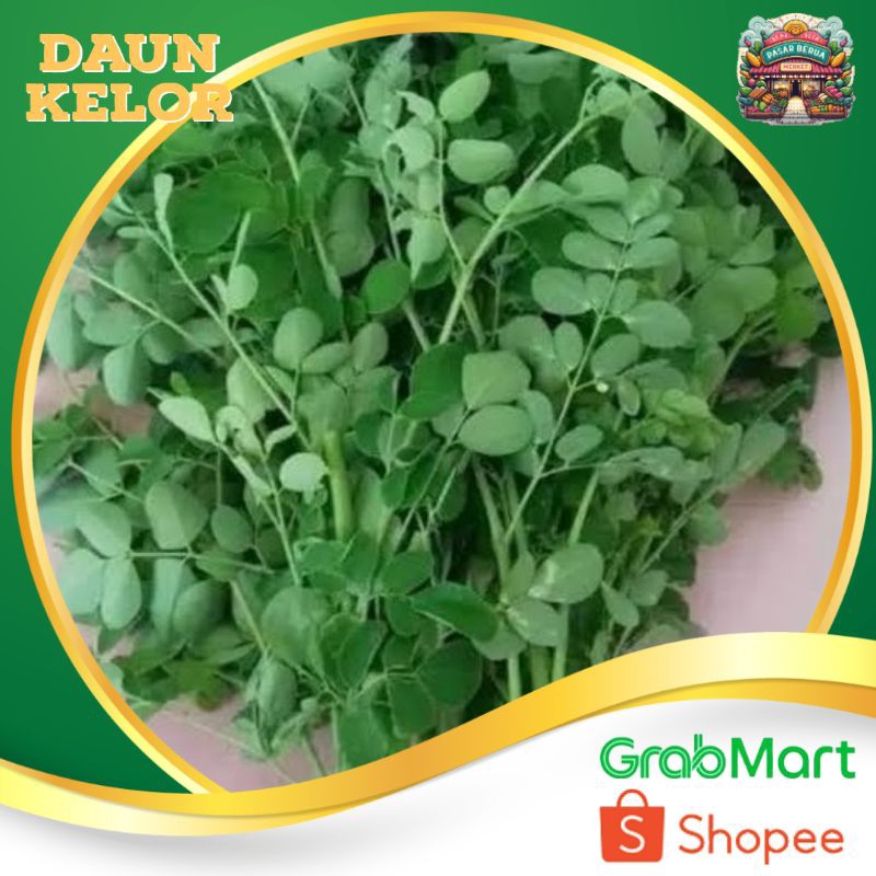 

Sayur Daun Kelor ~ Murah Pasar Induk Daring