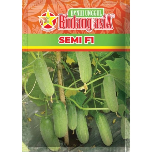 

Mentimun SEMI F1 BINTANG ASIA