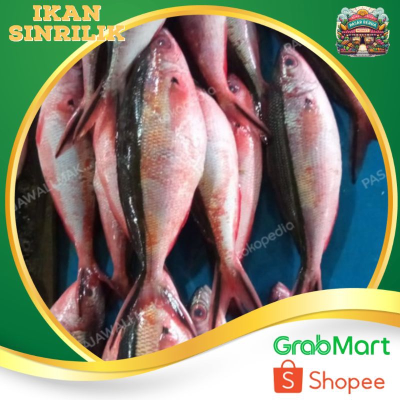 

Ikan Sinrilik isi 3-4 Tergantung Ukuran ~ Murah Pasar Induk Daring