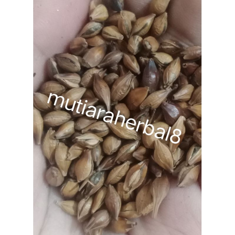 

Barley tea Japan 10gr