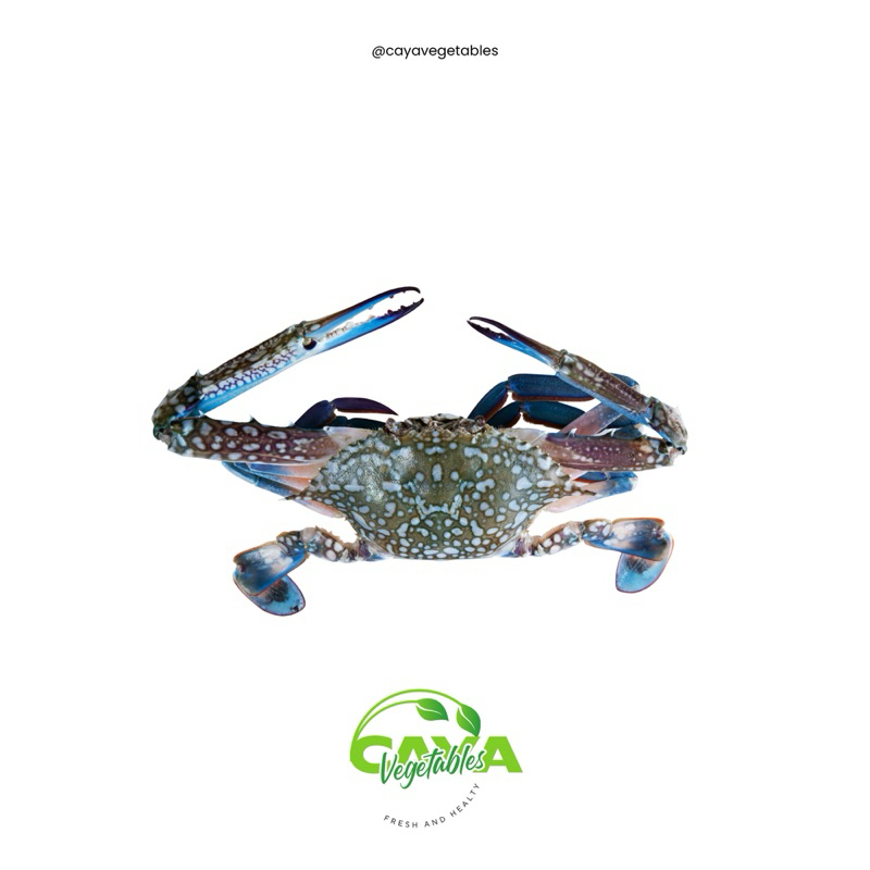 

Kepiting Ranjungan Segar/Frozen 1 Kg | CayaVegetables