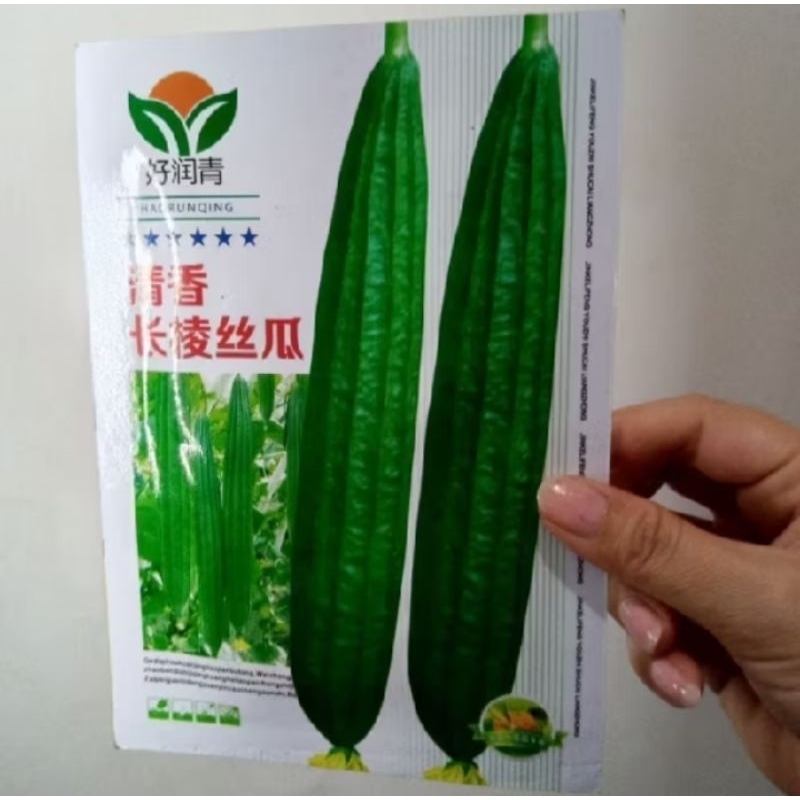 

GROSIR TERMURAH!!!100biji BENIH OYONG/GAMBAS SUPER ECER