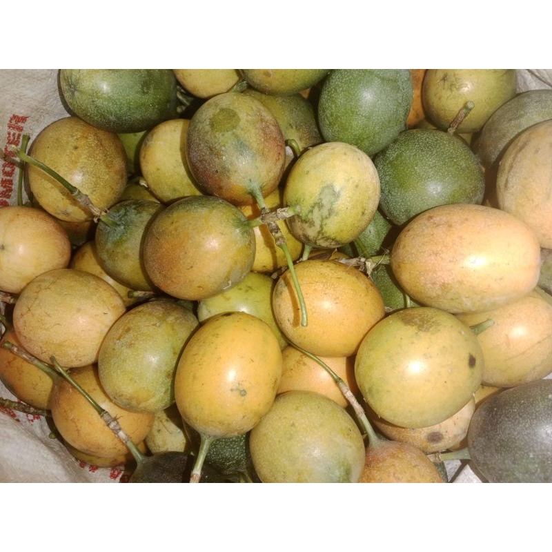 

100kg Markisa konyal Super via travel