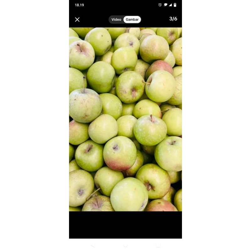 

apel manalagi fresh
