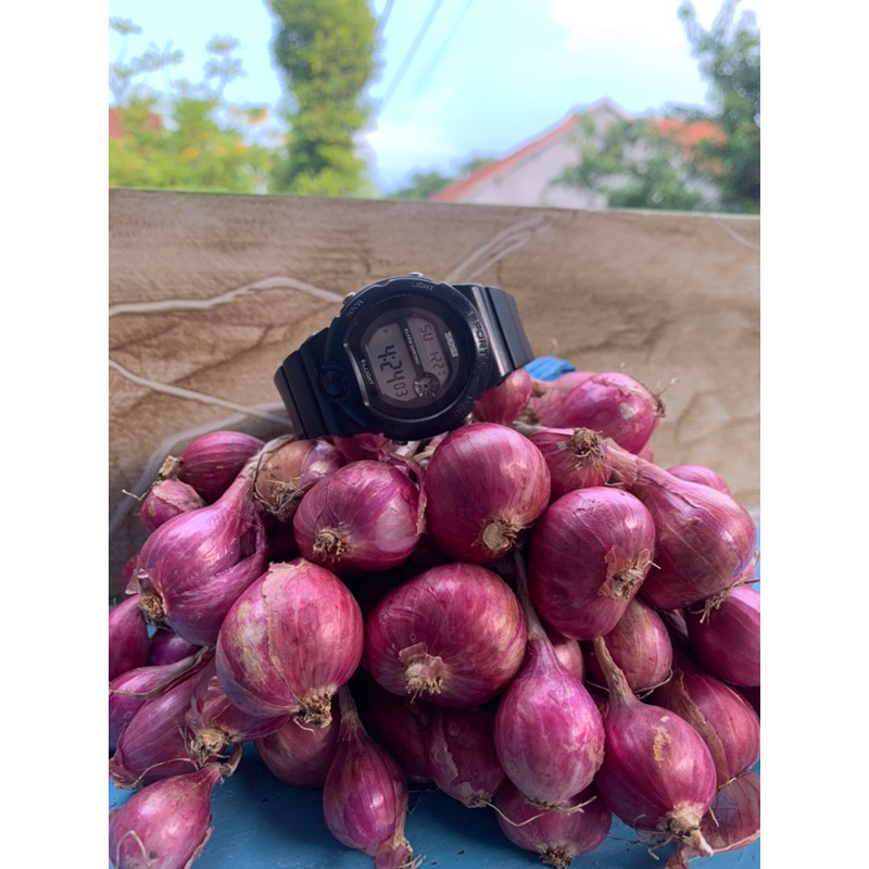 

BAWANG MERAH ASLI PROBOLINGGO