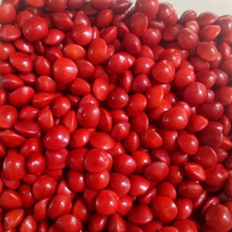 BIJI SAGA/BIJI BIJIAN/BIJI KERAJINAN/BIJI KOLASE